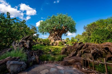 Disney Park Pass Reservations Currently Unavailable on July 12 for Disney’s Animal Kingdom