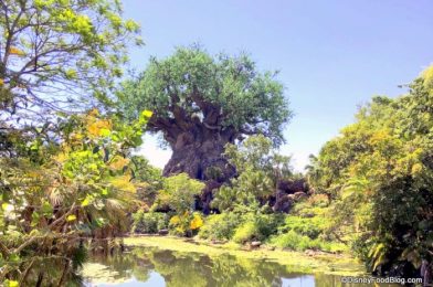 News! Here’s the FULL LIST of Shopping and Entertainment Reopening at Animal Kingdom in Disney World!