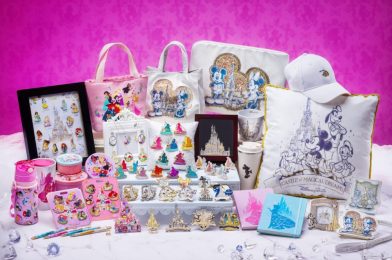 PHOTOS: New Castle of Magical Dreams Merchandise Coming to Hong Kong Disneyland