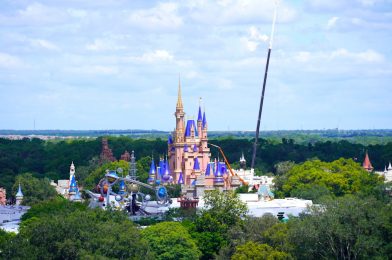 Florida Governor Ron DeSantis Has No Plans to “Roll Back” Approved Plans for Walt Disney World Reopening