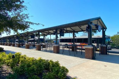 PHOTOS: Buses Staged at Disney Springs Ahead of Resort Reopenings; Bus Queues Set Up for Social Distancing