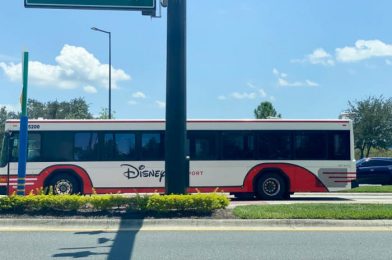 What You NEED To Know About Taking Disney Buses Now That Disney World Is Reopened