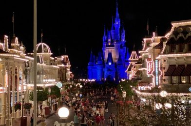 Orange County Has No Plans to Cancel Walt Disney World Reopening