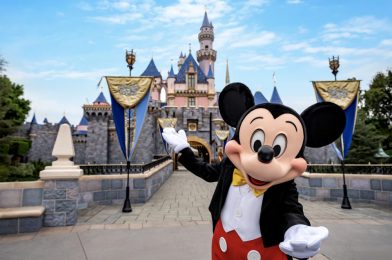 Disneyland Union Members Demanding Not to Reopen Disneyland Resort on July 17 Due to Safety Concerns