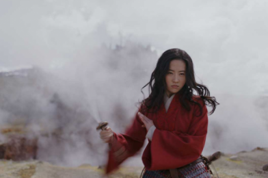 NEWS! Disney Has Pushed Back the Release Date for the Live-Action Mulan Film!