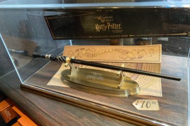 PHOTOS: The Wizarding World of Harry Potter Collector’s Edition 2020 Wand Now Available at Ollivander’s Wand Shop in Universal Studios Florida