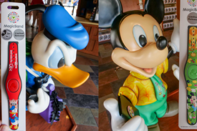 PHOTOS: New Donald Duck 2020 Annual Passholder and Mickey Mouse Summertime Fun Limited Release MagicBands Arrive at Disney Springs