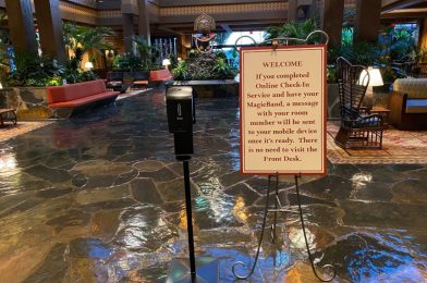 PHOTOS: No Temperature Screenings Taking Place at Resort Hotels in Walt Disney World