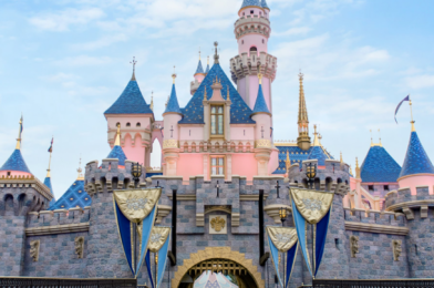 NEWS! Disneyland Pauses Ticket Sales and Annual Pass Renewals Ahead of Proposed Reopening Date!