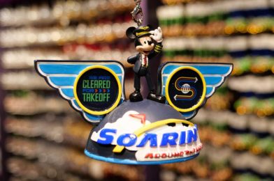 PHOTOS: New Soarin’ Around the World Mickey Ear Ornament Flies into Disney Springs