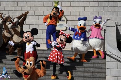 PHOTOS, VIDEOS: Characters Make Socially Distant Appearances at the Newly-Reopened Hong Kong Disneyland