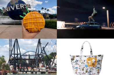 UPNT Weekly Recap: “The Bourne Stuntacular” Makes its Impressive Debut, “Velocicoaster” Construction Updates, and More!