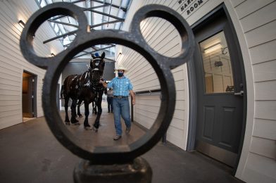 Celebrating the New Tri-Circle-D Ranch, Home to Heritage and Happy Horses