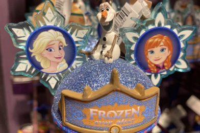 Check Out the Awesome Details on this Soarin’ Ear Hat Ornament We Spotted in Disney World!