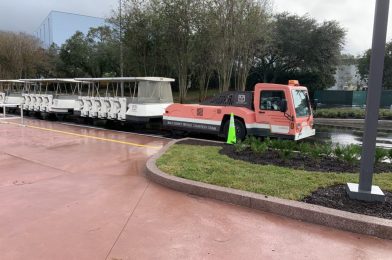 Walt Disney World Confirms Suspension of Parking Lot Tram Service for Upcoming Official Reopenings