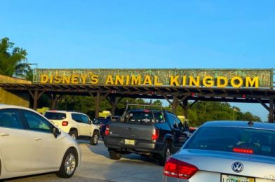 We’re LIVE in Disney’s Animal Kingdom For the FIRST Time Since the Closures