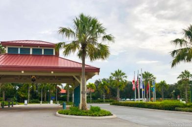 PHOTOS: Disney World’s Caribbean Beach Resort Has Officially REOPENED!