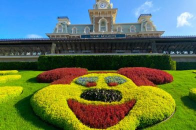 Review! There’s a NEW Cinnamon Almond Milk Starbucks Cold Brew in Disney World!