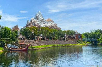 These are the Biggest Changes You May Experience When Riding Expedition Everest in a Reopened Animal Kingdom