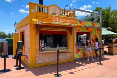 Review! The Orange Bird Sipper Is Back in EPCOT Along With Some Other Returning Festival Favorites