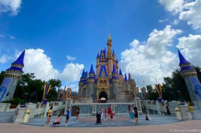 Can You Leave a Disney World Theme Park and Return Later the Same Day? We FINALLY Have an Answer!