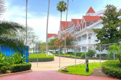 You’ve Gotta See This Photo of “The Great BLUE Wall” at Disney’s Grand Floridian Resort!