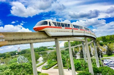 BREAKING NEWS! More Disney Transportation Will Start to Re-Open at the Beginning of Next Week!