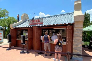 Review! Our Favorite Items Were MISSING From the China Booth at the 2020 EPCOT International Food and Wine Festival!