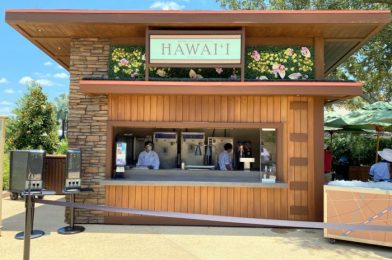 Surprise! A Taste of EPCOT Food & Wine Festival Booths are OPEN at the Cast Member Preview Today!