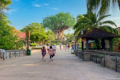 There’s a New Long Sleeve Lion King Shirt Prowling Around Disney’s Animal Kingdom!