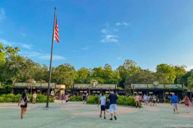 PHOTOS: Disney World Is Now Selling Official Welcome Back Merchandise!