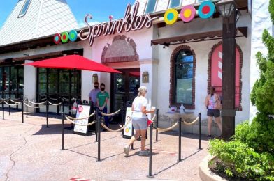 REVIEW: This 4th of July Cupcake in Disney World Is Insta-Worthy and Delicious!