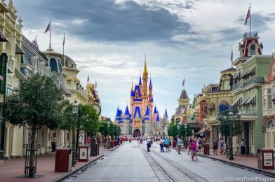 Is Shopping in Disney World Different? Here’s What We Experienced Today!