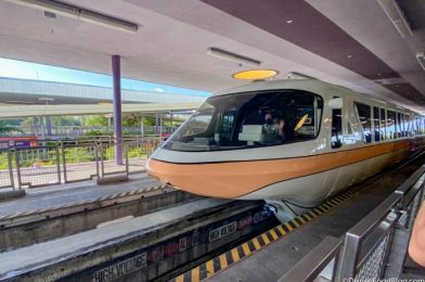 Here’s What It’s Like to Ride the Monorail in a Reopened Disney World!