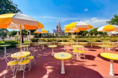 Need Water? Here’s How to Get It Inside Disney World’s Reopened Theme Parks