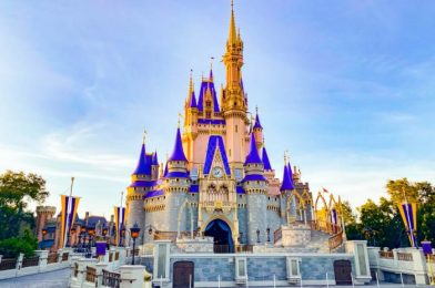 Seven Things We Like BETTER About Disney World Now Than Before the Closures!