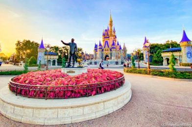 Florida Orange County Mayor Jerry Demings Comments on Disney World’s Reopening Amid Health Concerns