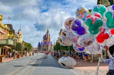 DFB Video: Walt Disney World is OPEN!!