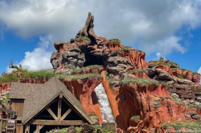 You’ve Got to See How LONG The Line Was For Splash Mountain in Magic Kingdom This Morning!