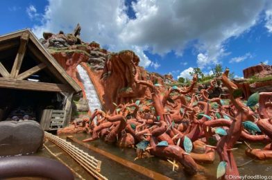 Ummm..Splash Mountain Is Dried Up and CLOSED in Disney World!?