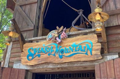 See All of the Splash Mountain Merchandise Available (For Now…) in Magic Kingdom