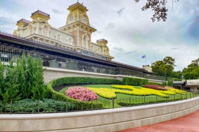 PHOTOS: Construction Update On Disney World’s Grand Floridian Walkway!