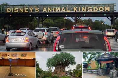 PHOTOS: Disney’s Animal Kingdom Reopening Arrival Experience Walk-Through – From Parking to the Tree of Life