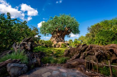 Proposed Disney’s Animal Kingdom “Relaxation Zone” Mask-Free Locations Revealed