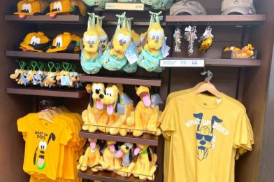 NEWS: Annual Passholders Now Get A BIGGER Discount At Walt Disney World Gift Shops!