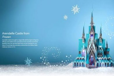 shopDisney Introduces MerchPass – An Opportunity to Purchase Limited Edition Items