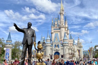 Walt Disney World Vanity License Plates Coming for Florida Drivers