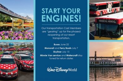 Walt Disney World Resort Shares Offical Reopening Start Dates for Transportation