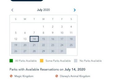 Walt Disney World Annual Passholders Get More Disney Park Pass Reservations Dates and Pass Extension