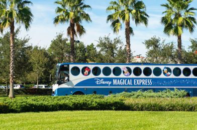 2020 Disney’s Magical Express Update